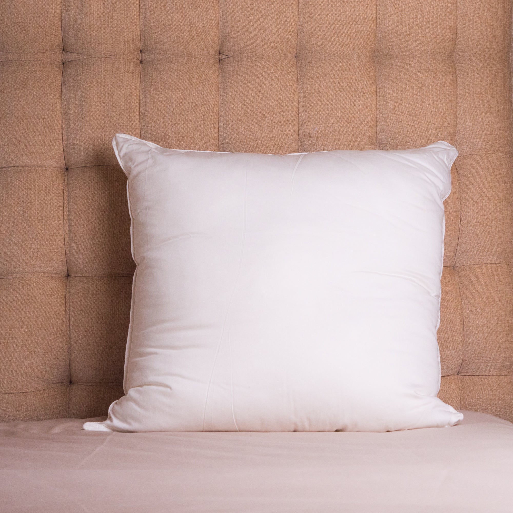 Cushion Insert, Big