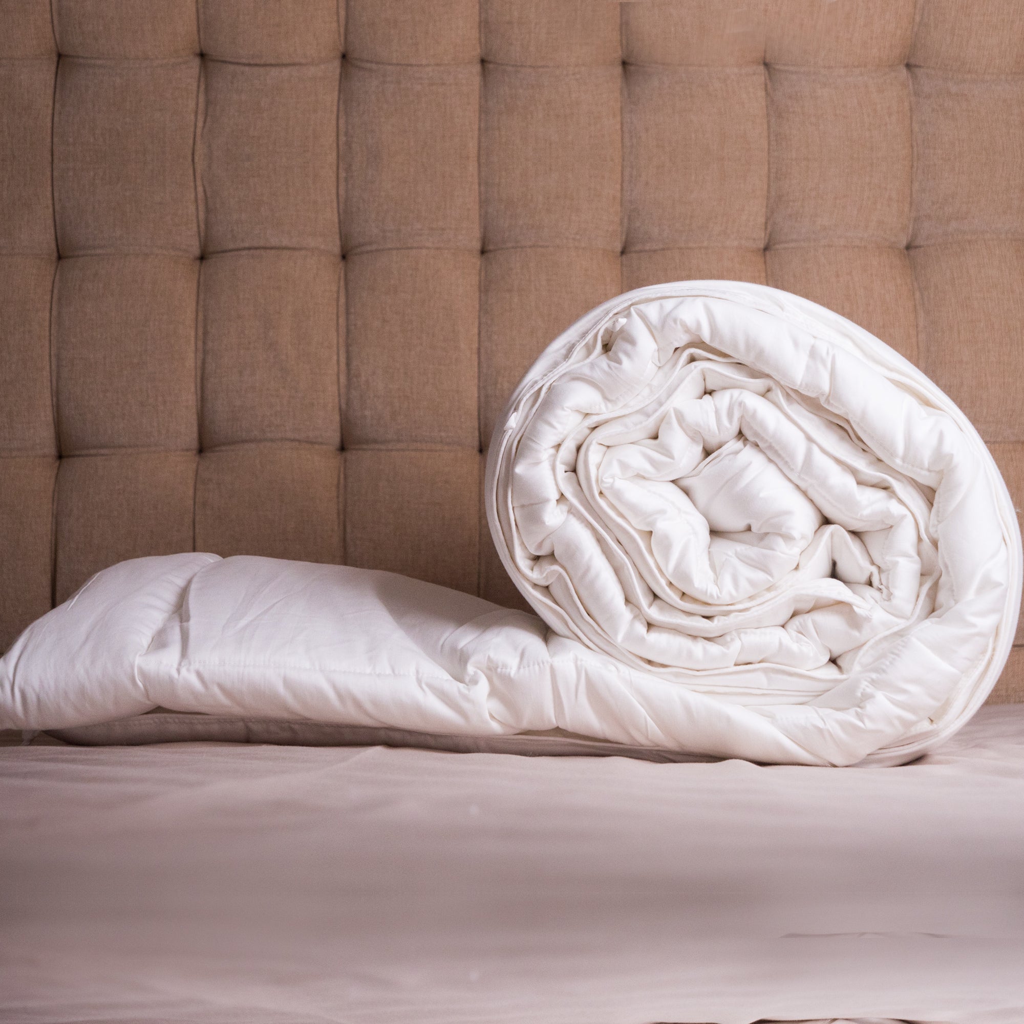 Comforter